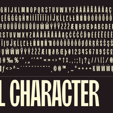 moldin-family-font-zarma-type-13.png
