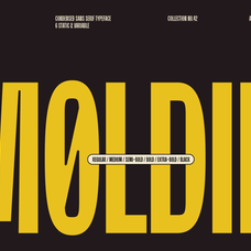 moldin-family-font-zarma-type-2.png