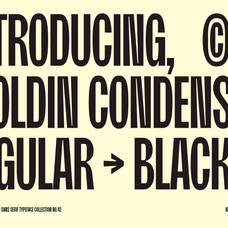moldin-family-font-zarma-type-3.png