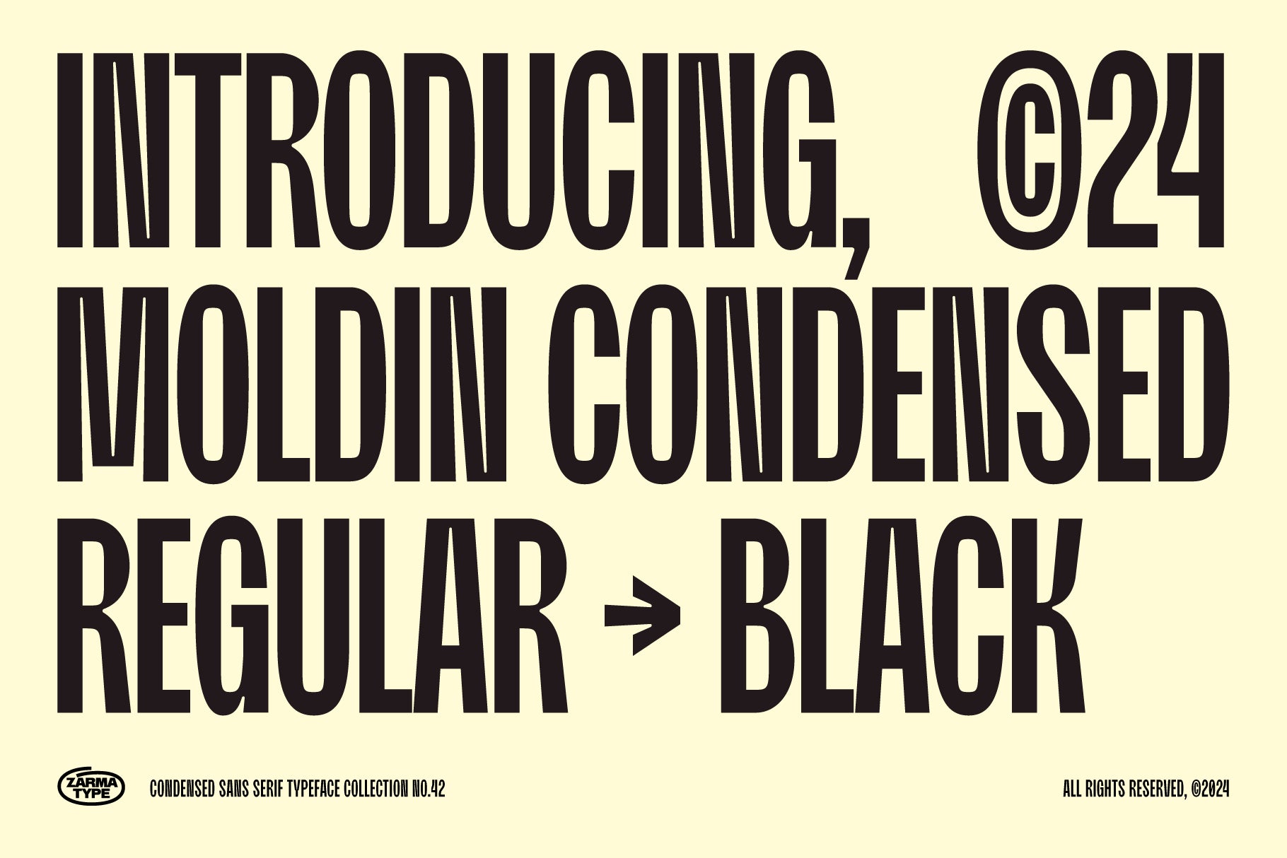 moldin-family-font-zarma-type-3.png