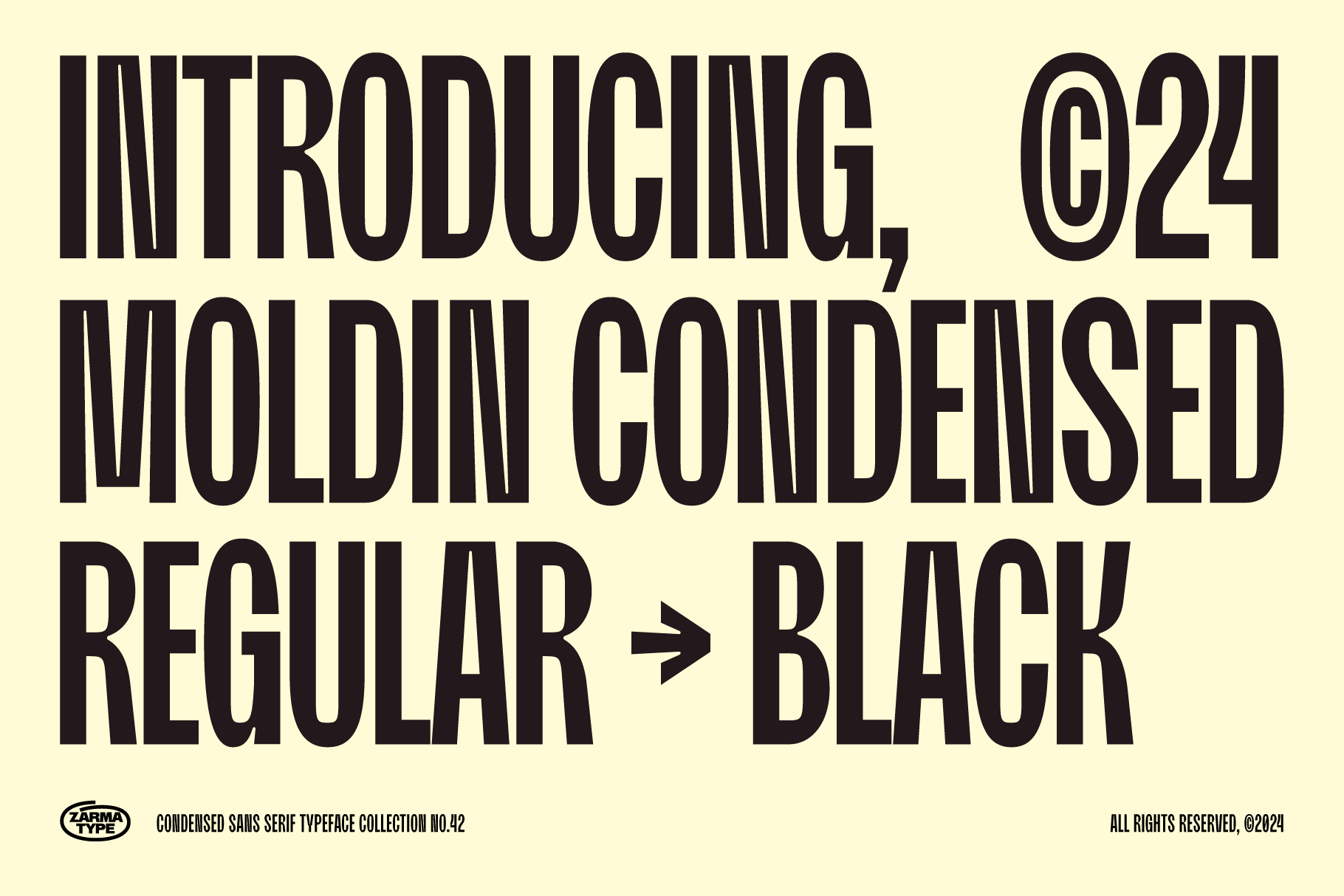moldin-family-font-zarma-type-3.png