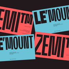 moldin-family-font-zarma-type-6.png