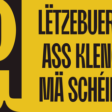 moldin-family-font-zarma-type-7.png