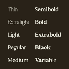 molimer-family-serif-font-marvadesign-3.png
