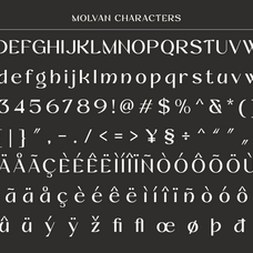molvan-editorial-serif-font-for-fashion-beauty-roomspace-creative-lab-9.png