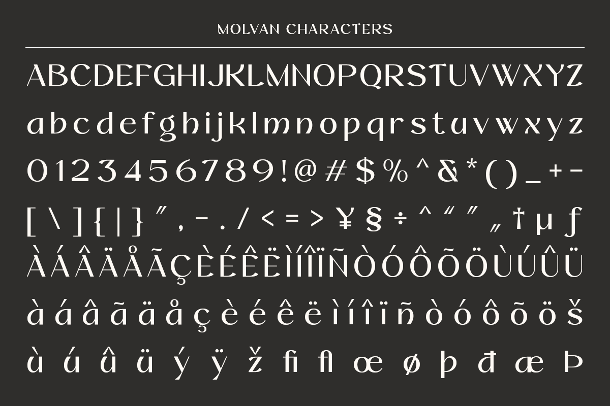 molvan-editorial-serif-font-for-fashion-beauty-roomspace-creative-lab-9.png