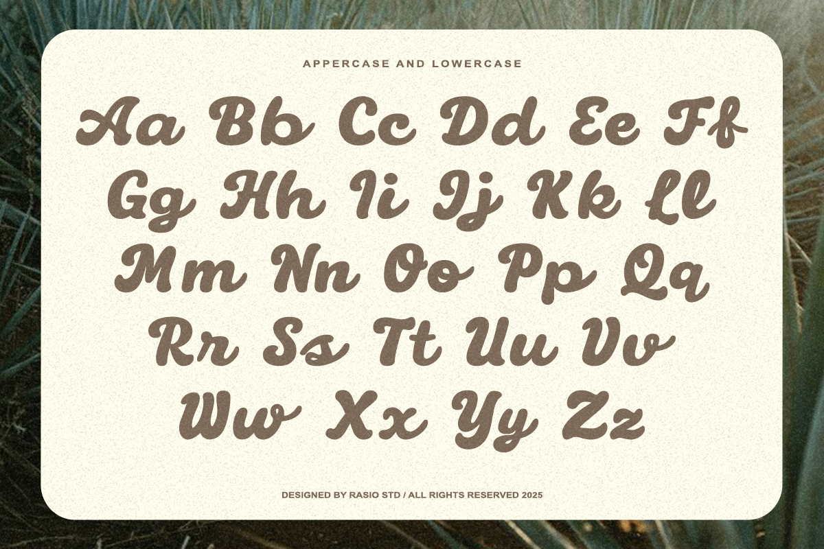 monclaire-display-script-typeface-font-rasio-std-2.png