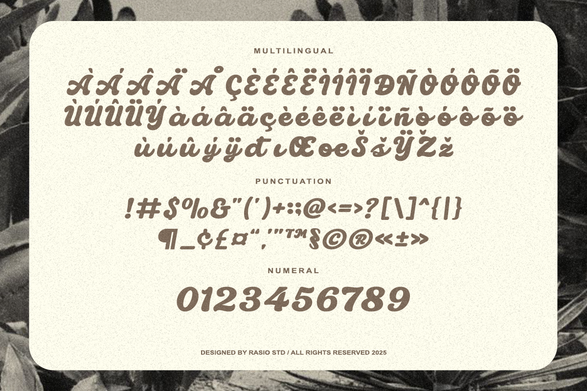 monclaire-display-script-typeface-font-rasio-std-3.png