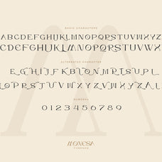 monesa-font-luxury-modern-serif-typeface-koplexs-studio-11.jpg