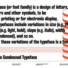 monigue-font-zarma-type-9.png