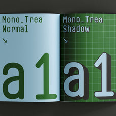 mono-trea-fatehlab-3.jpg