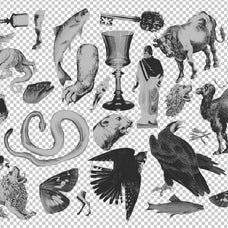 MONSTERVERSE Collage Set