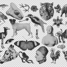 MONSTERVERSE Collage Set