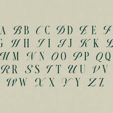 monthe-calligraphic-display-serif-font-rasio-std-2.png