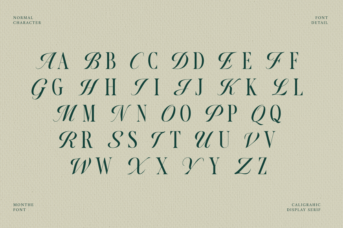 monthe-calligraphic-display-serif-font-rasio-std-2.png