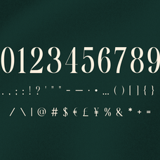 monthe-calligraphic-display-serif-font-rasio-std-3.png