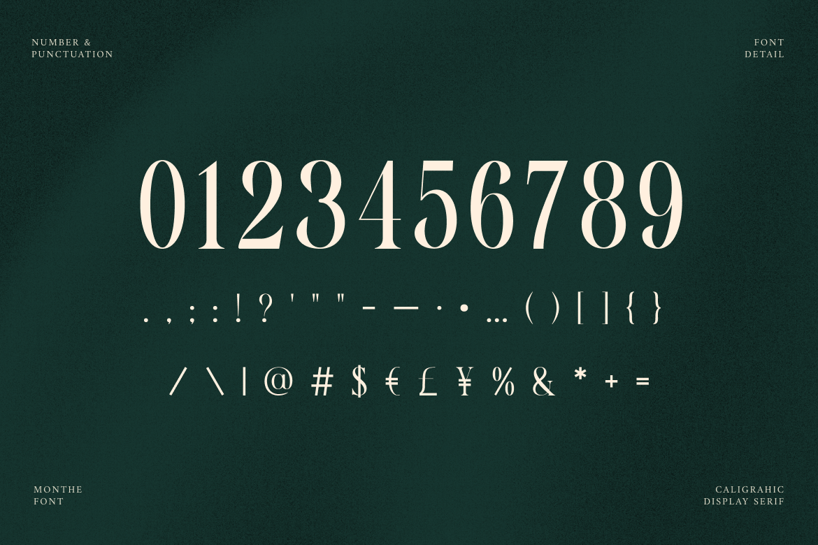 monthe-calligraphic-display-serif-font-rasio-std-3.png