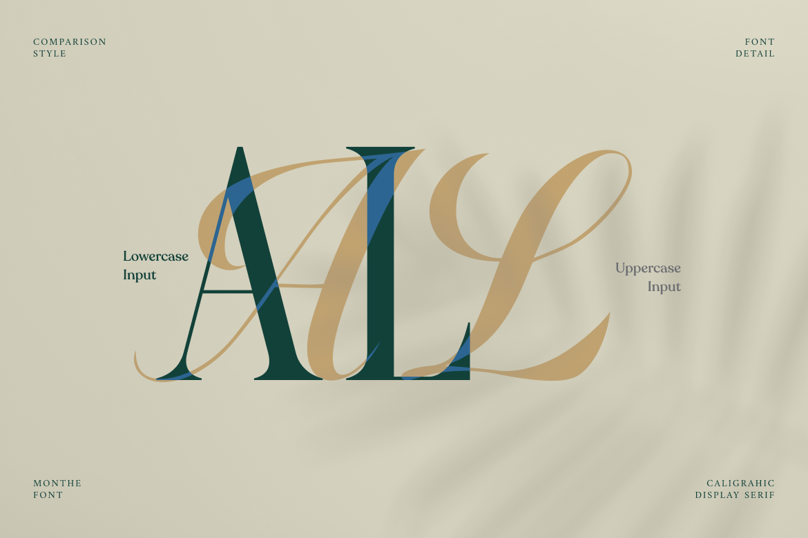 monthe-calligraphic-display-serif-font-rasio-std-4.png