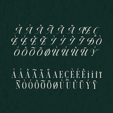 monthe-calligraphic-display-serif-font-rasio-std-5.png