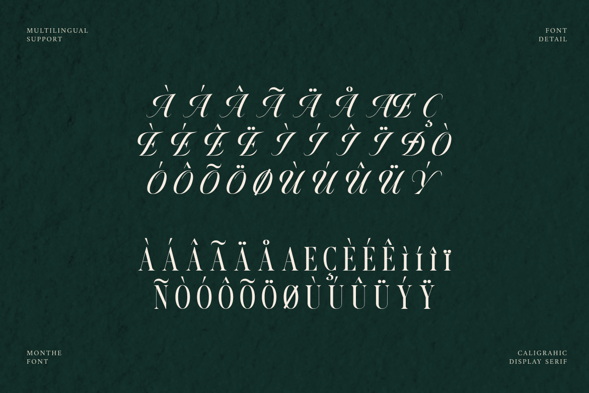 monthe-calligraphic-display-serif-font-rasio-std-5.png