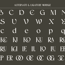 morige-elegant-serif-display-roomspace-creative-lab-10.png