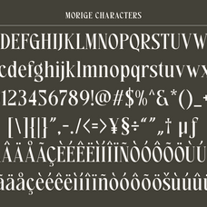 morige-elegant-serif-display-roomspace-creative-lab-9.png
