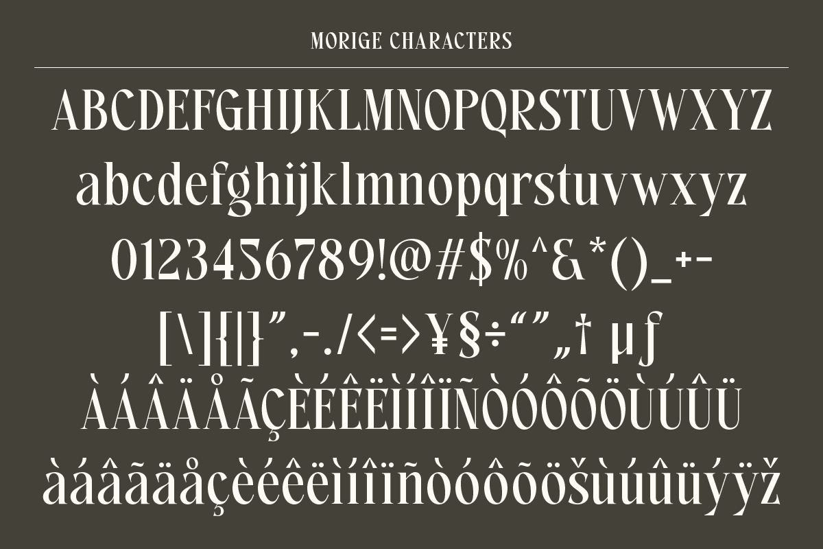 morige-elegant-serif-display-roomspace-creative-lab-9.png