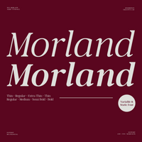 Morland – Modern Elegant Serif Font Family