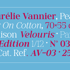morland-modern-elegant-serif-font-family-roomspace-creative-lab-12.png