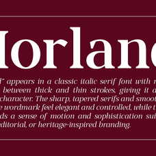 morland-modern-elegant-serif-font-family-roomspace-creative-lab-6.png