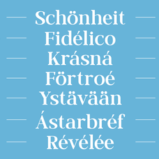 morland-modern-elegant-serif-font-family-roomspace-creative-lab-8.png