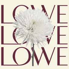 morune-modern-elegant-sans-serif-font-rasio-std-5.png