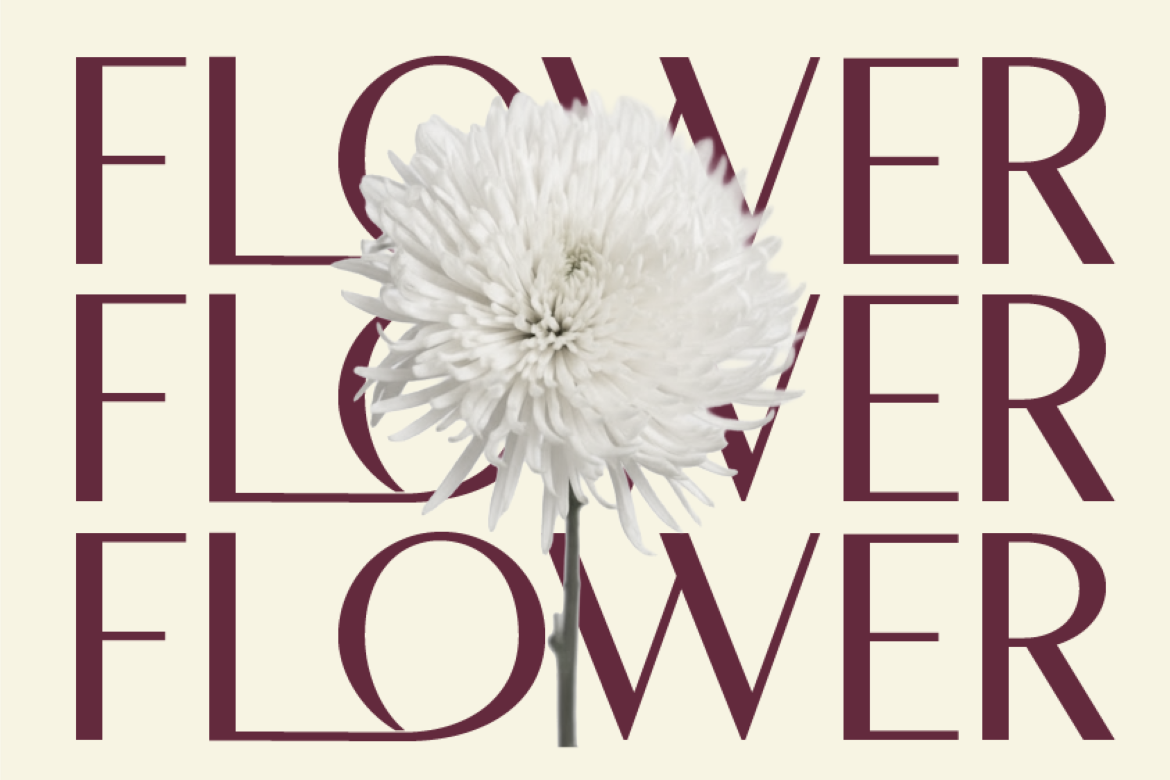 morune-modern-elegant-sans-serif-font-rasio-std-5.png