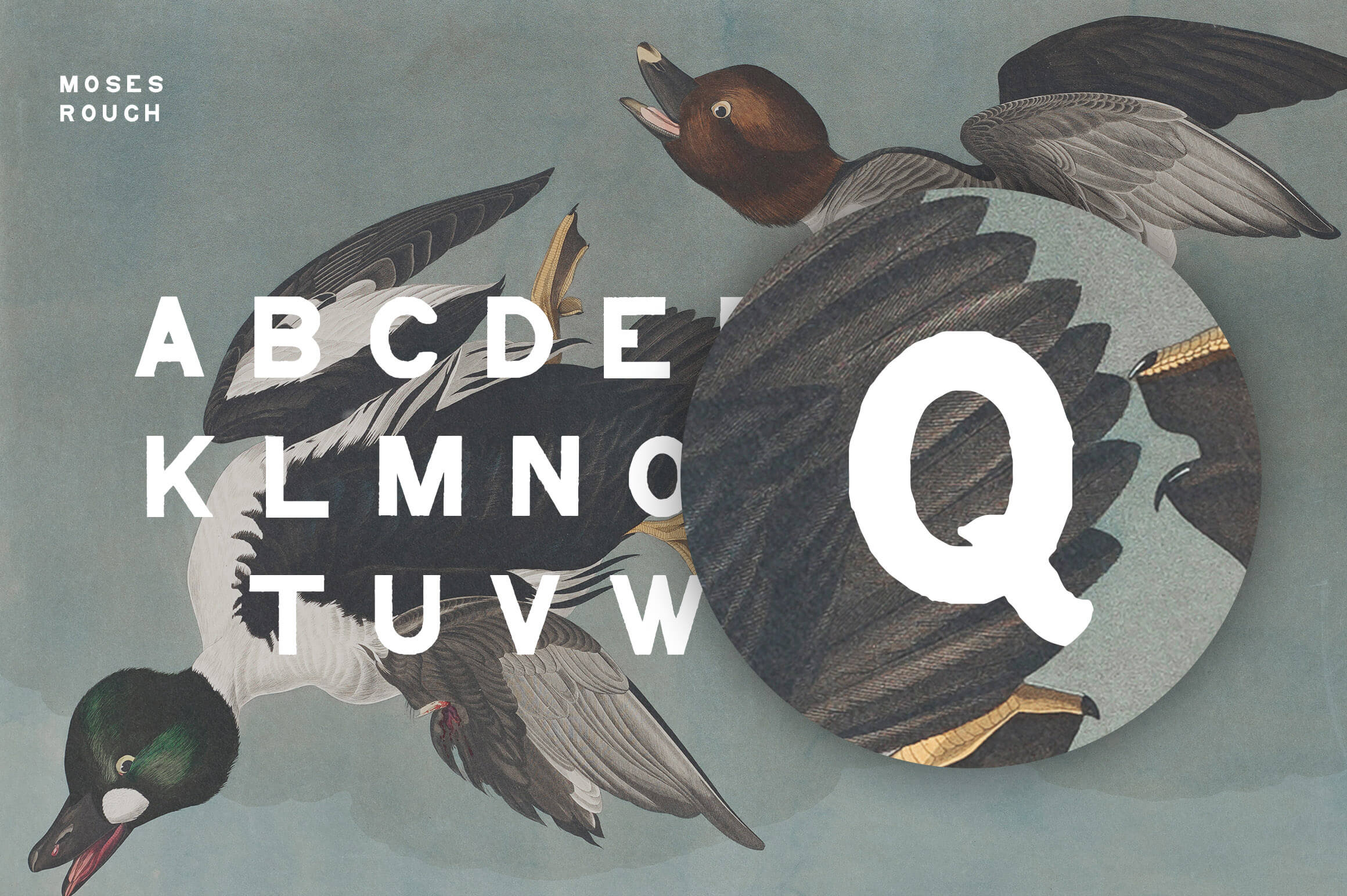 Moses Display Grotesque Typeface