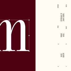 mostena-modern-elegant-serif-roomspace-creative-lab-12.png
