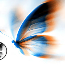 motion-glitch-effect-pixelbuddha-4.jpg