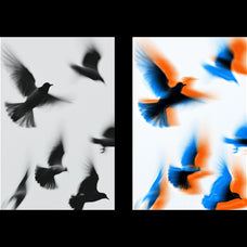 motion-glitch-effect-pixelbuddha-5.jpg