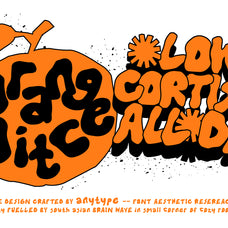 motley-rough-display-typeface-any-type-foundry-3.jpg