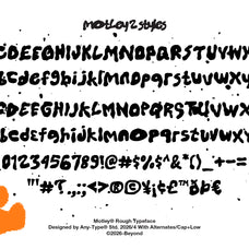 motley-rough-display-typeface-any-type-foundry-7.jpg