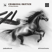 Multi-App Charcoal Sketch Brushes