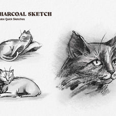 multi-app-charcoal-sketch-brushes-pixelbuddha-6.jpg