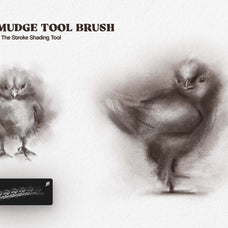 multi-app-charcoal-sketch-brushes-pixelbuddha-7.jpg