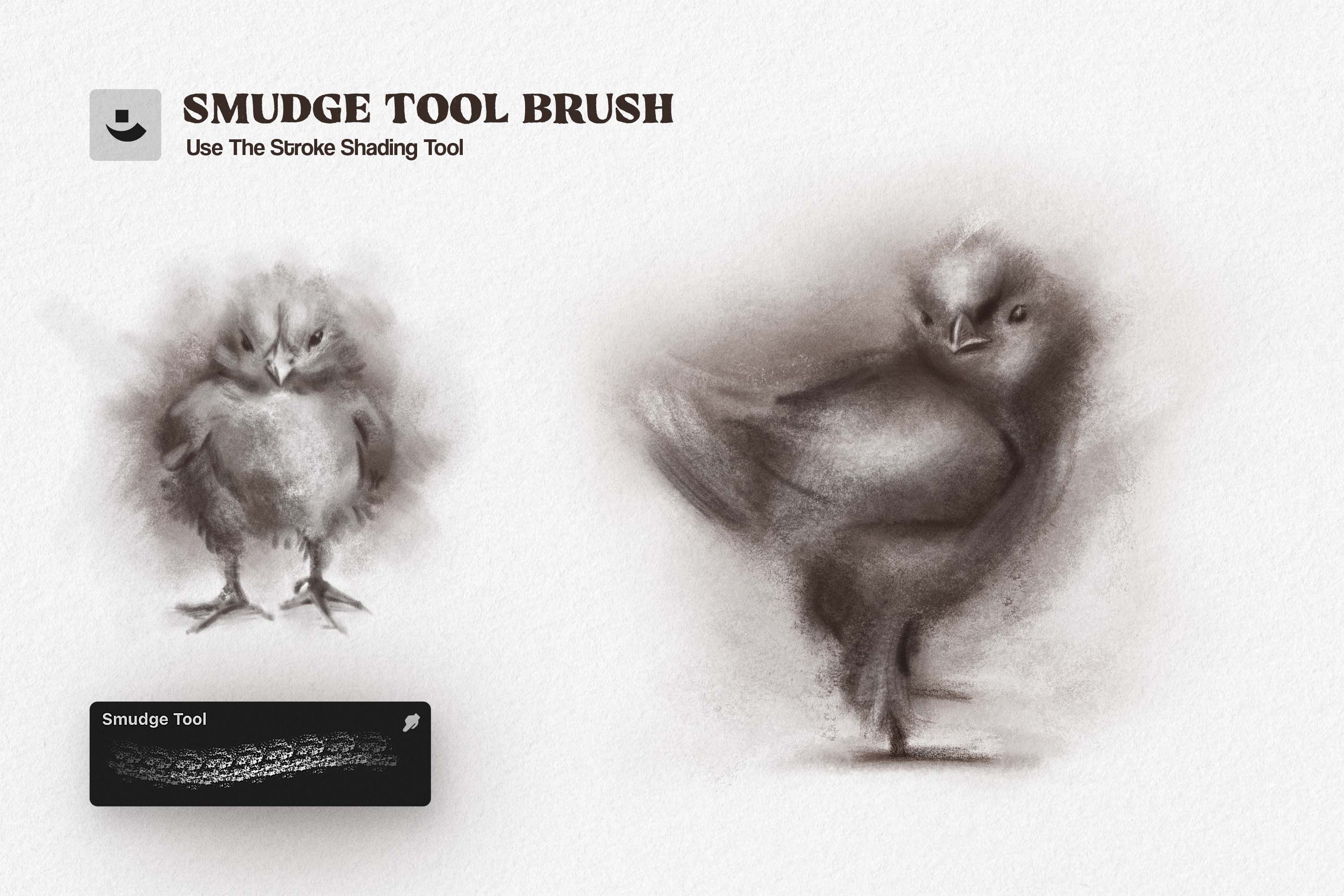 multi-app-charcoal-sketch-brushes-pixelbuddha-7.jpg