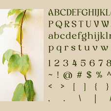 myles-birsdie-decorative-elegant-serif-font-say-studio-10.png
