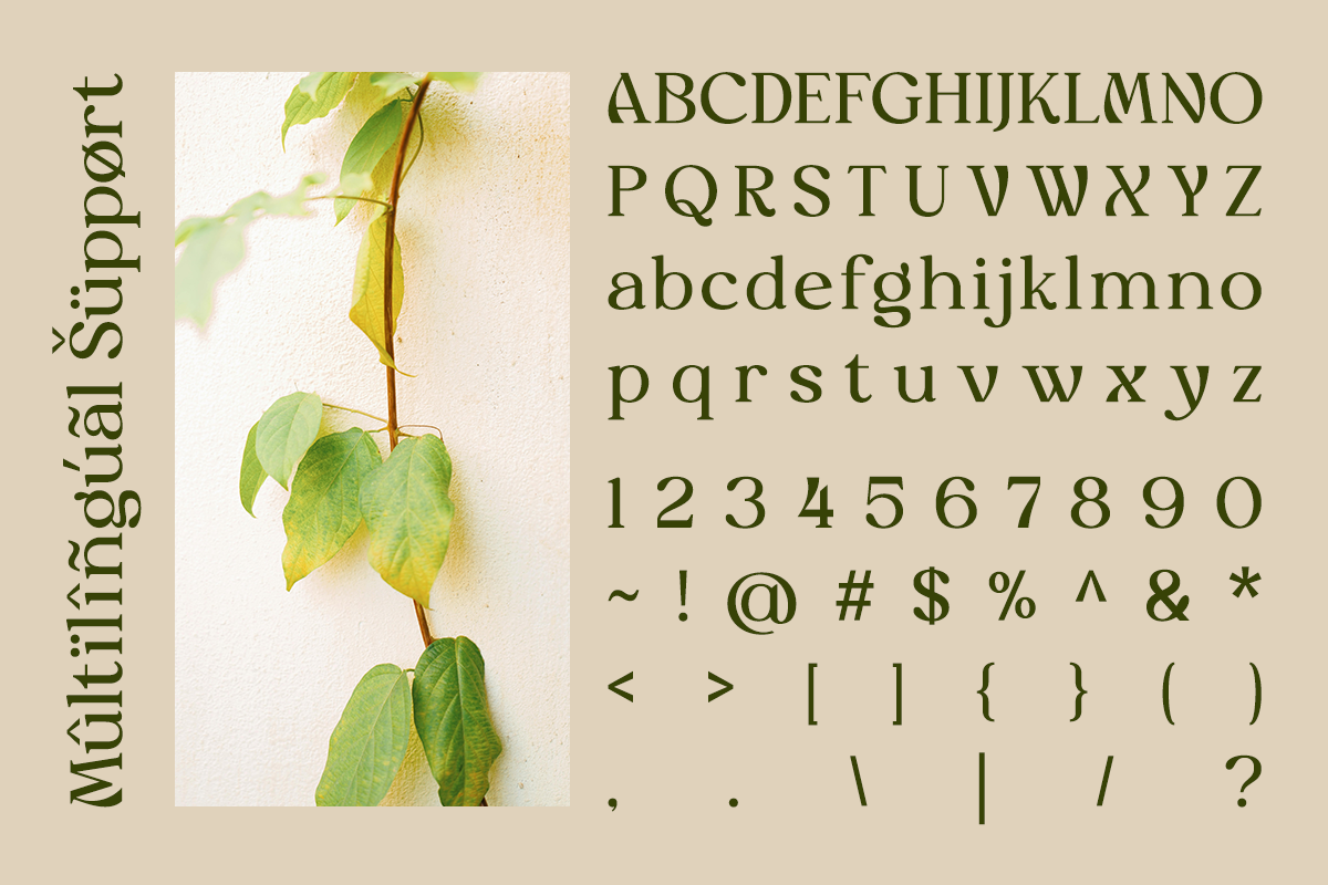 myles-birsdie-decorative-elegant-serif-font-say-studio-10.png