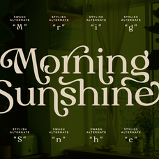 myles-birsdie-decorative-elegant-serif-font-say-studio-2.png