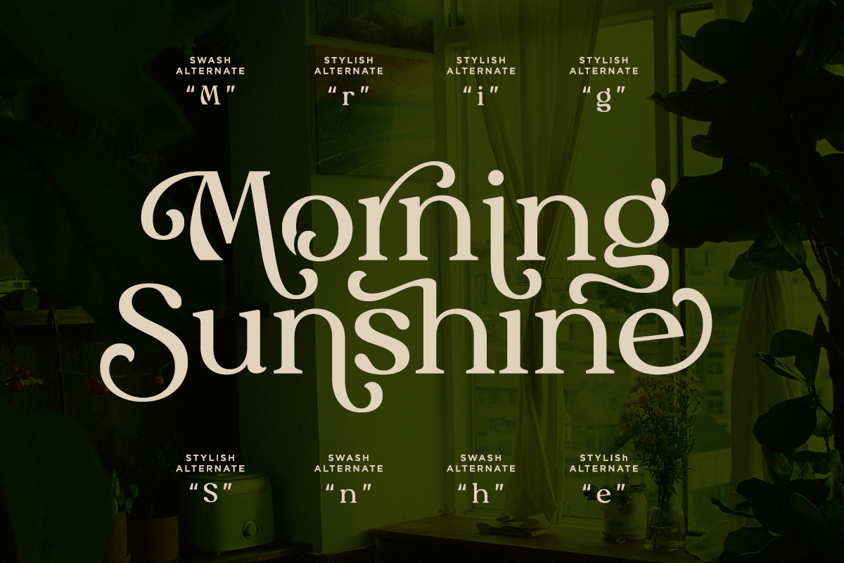 myles-birsdie-decorative-elegant-serif-font-say-studio-2.png