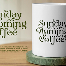 myles-birsdie-decorative-elegant-serif-font-say-studio-4.png