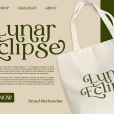 myles-birsdie-decorative-elegant-serif-font-say-studio-5.png