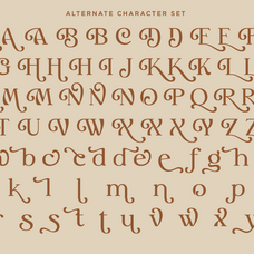 myles-birsdie-decorative-elegant-serif-font-say-studio-9.png